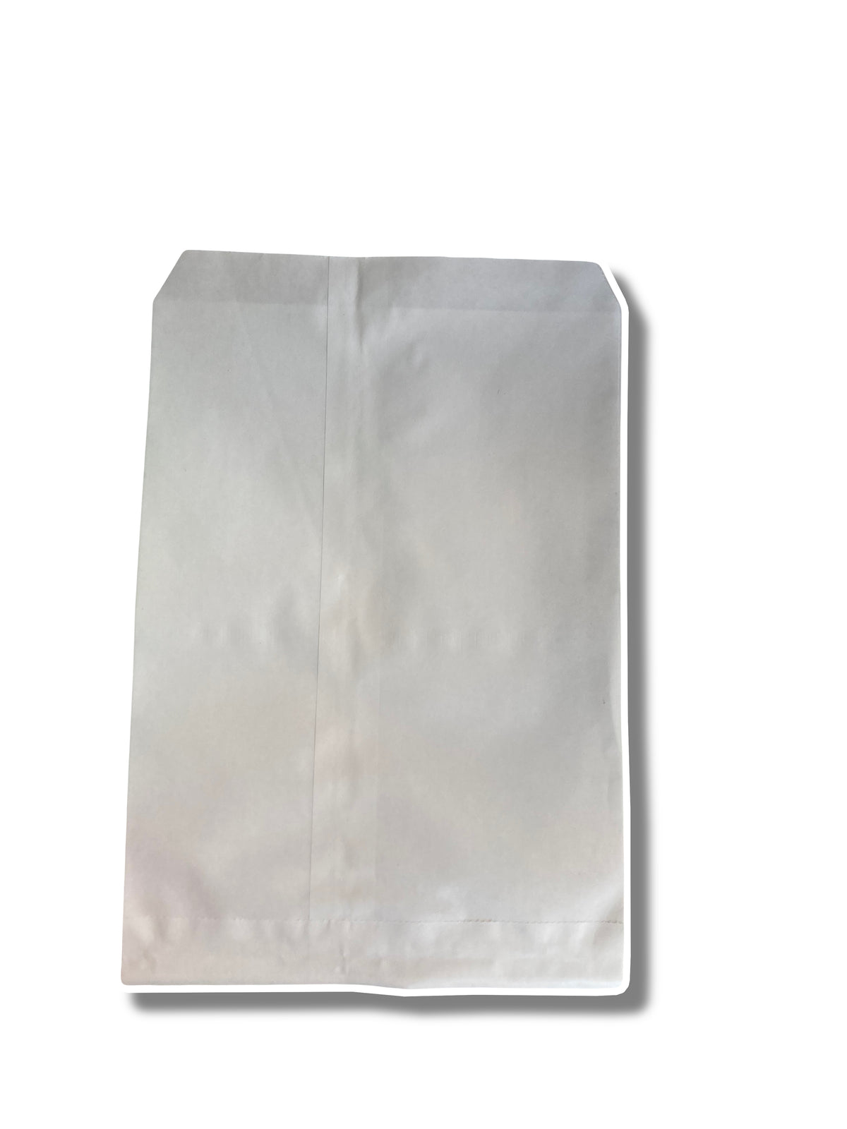 Plain White Paper Bag